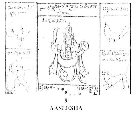 Naga - the lord of snakes (Sharpa) Накшатра Ashlesha