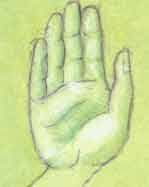 Nakshatra #13: Hasta.
Symbol: Palm or fist.
Name translation: Hand, fist.
Devata: Savitar (Animating, Awakening).
Character: light.
VD Ruler: Chandra (Moon).
Tib. El-t: wind. Hasta