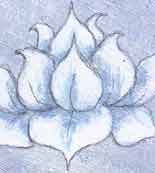 Nakshatra #17: Anuradha.
Symbol: Lotus flower, row, furrow or rut.
Name translation: Following Radha, success.
Devata: Mitra (Friend).
Character: soft.
VD Ruler: Shani (Saturn).
Tib. El-t: earth. Anuradha