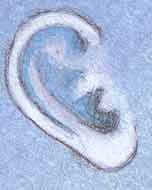 Nakshatra #22: Shravana.
Symbol: Ear (listener), three footprints (Vishnu Shravana