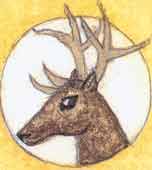 Nakshatra #5: Mrigashirsha.
Symbol: Deer head.
Name translation: Deer head (alt. searching star).
Devata: Soma (Chandra, Moon).
Character: soft.
VD Ruler: Mangala ( Mars).
Tib. El-t: wind. Mrigashirsha